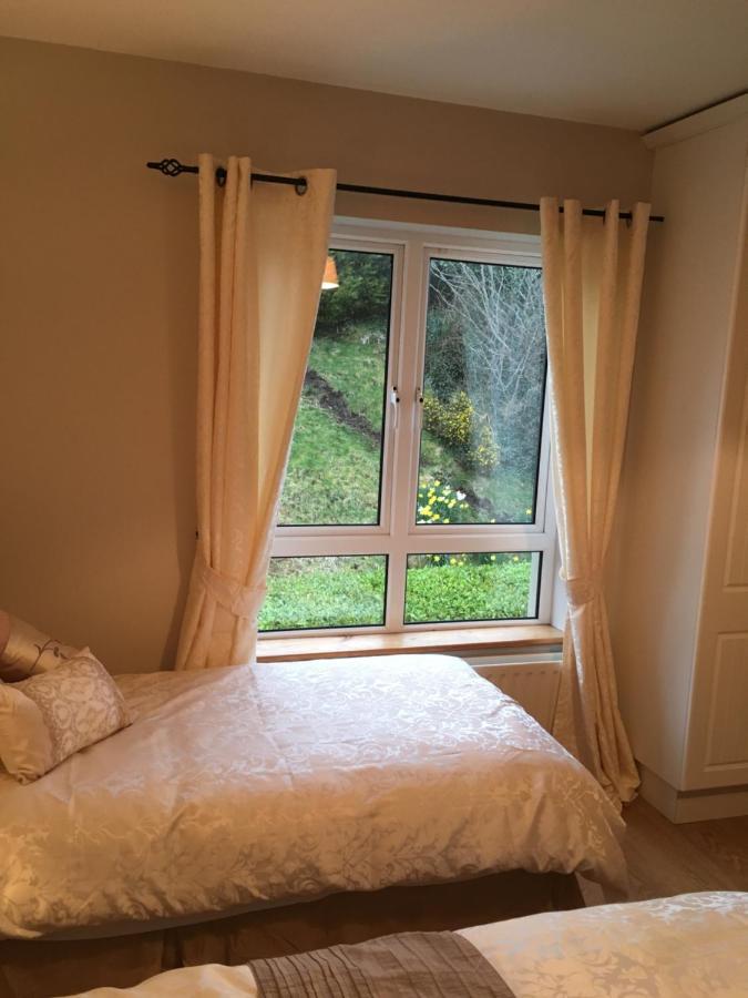 קיליבגס Carrick House B&B מראה חיצוני תמונה