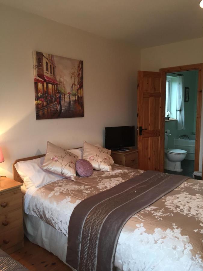 קיליבגס Carrick House B&B מראה חיצוני תמונה