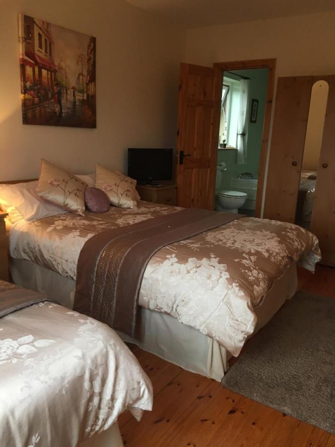 קיליבגס Carrick House B&B מראה חיצוני תמונה