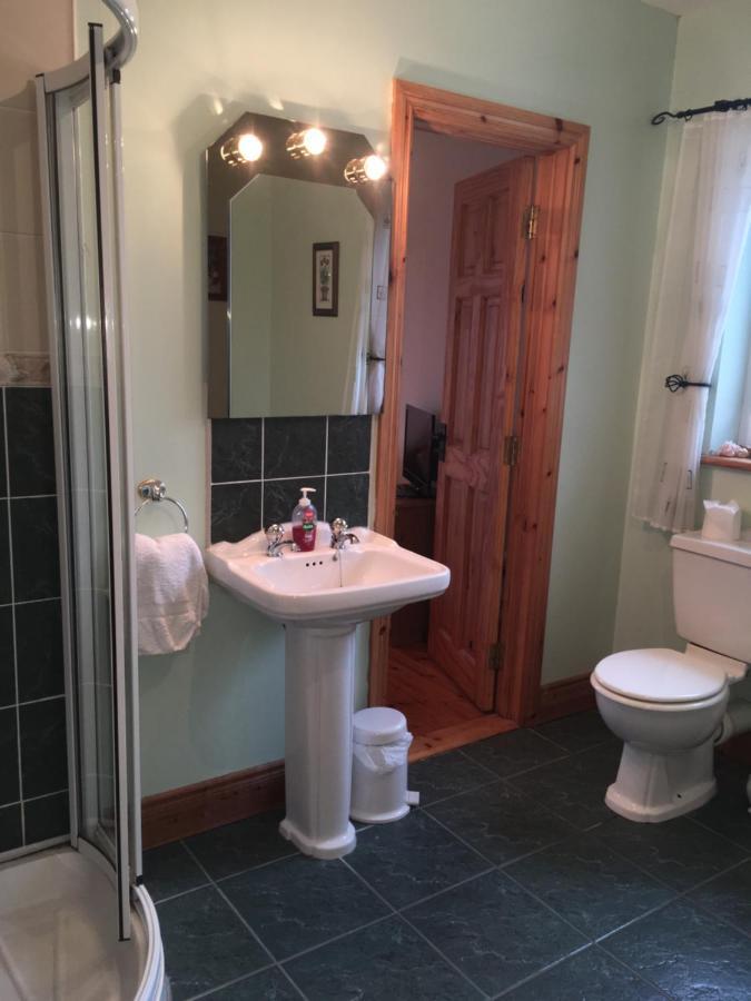קיליבגס Carrick House B&B מראה חיצוני תמונה