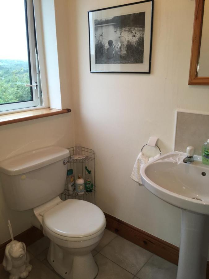 קיליבגס Carrick House B&B מראה חיצוני תמונה