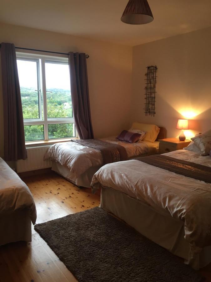 קיליבגס Carrick House B&B מראה חיצוני תמונה